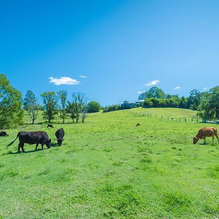 Jacaranda Creek Farmstay & B&B Sunshine Coast Extérieur photo