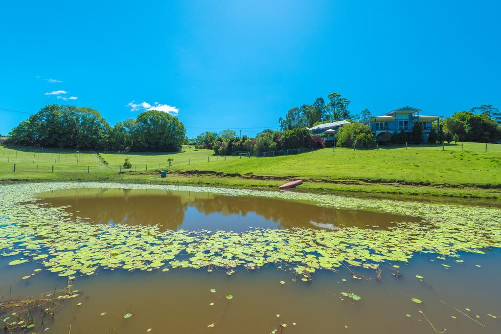 Jacaranda Creek Farmstay & B&B Sunshine Coast Extérieur photo