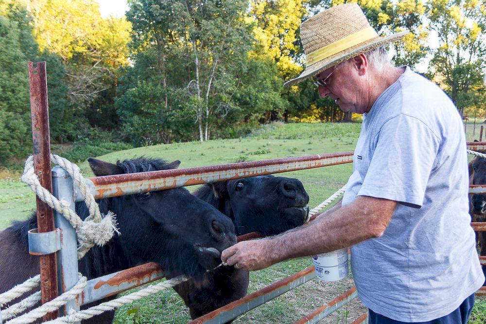 Jacaranda Creek Farmstay & B&B Sunshine Coast Extérieur photo